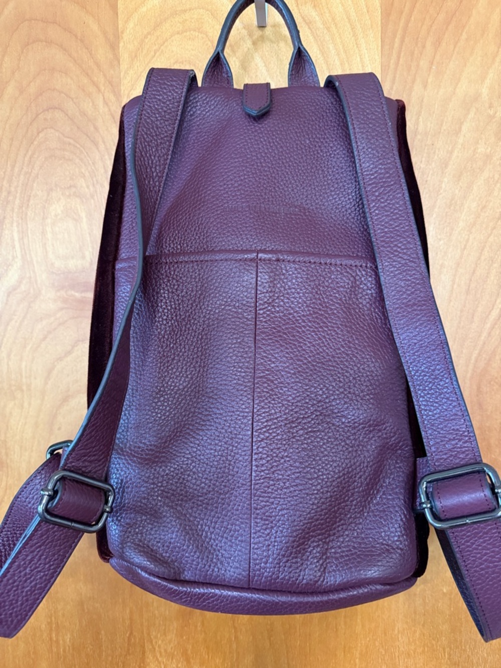 Aimee Kestenberg Tamitha Leather-Trim Velvet Backpack in Burgundy - Picture 6 of 11